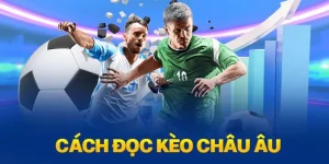 Ảnh đại diện kèo châu âu 69vn