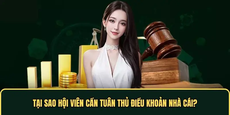 Thành viên cần thực hiện đúng quy định điều khoản