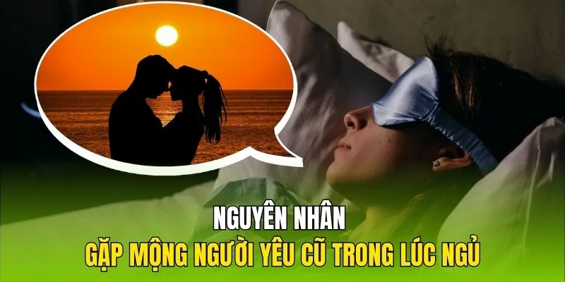 Nguyên nhân gặp mộng người yêu cũ trong lúc ngủ